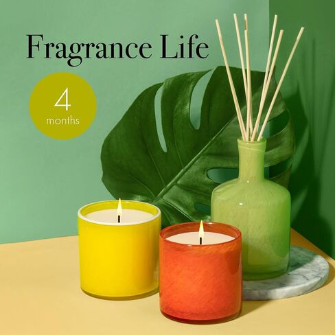 LAFCO New York Reed Diffuser Refill, Amber Black Vanilla - 8.4 oz - Up to 4-Month Fragrance Life - Includes Natural Wood Reeds - Free of Dyes & Propellants - Made in The USA in Saudi Arabia