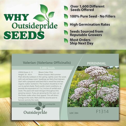 Outsidepride 5000 Seeds Perennial Valerian Herb Garden Seeds for Planting in Saudi Arabia