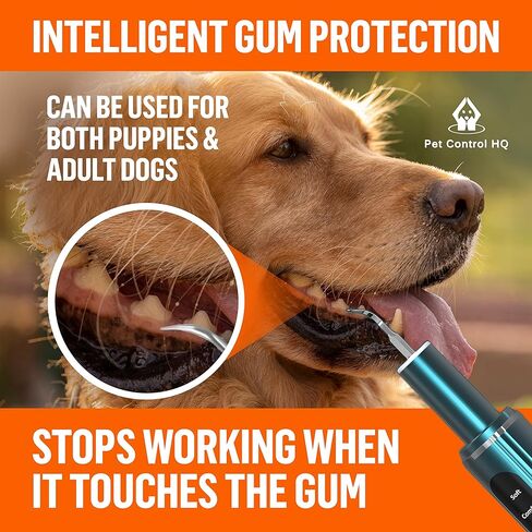 مزيل لويحات أسنان الكلاب من HQ للتحكم في الحيوانات الأليفة - مبيضة أسنان بالموجات فوق الصوتية منخفضة الضوضاء - منظف كهربائي لأسنان الجير للكلاب in Kuwait