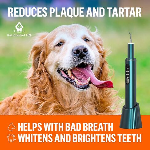 مزيل لويحات أسنان الكلاب من HQ للتحكم في الحيوانات الأليفة - مبيضة أسنان بالموجات فوق الصوتية منخفضة الضوضاء - منظف كهربائي لأسنان الجير للكلاب in Kuwait