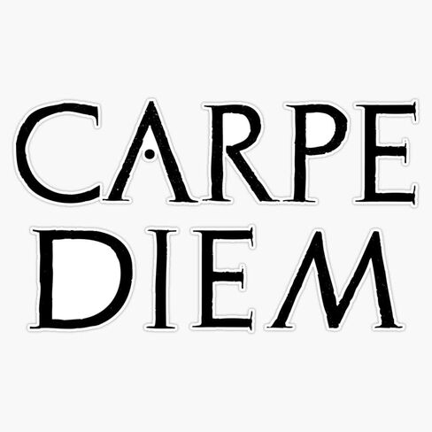 Carpe Diem - Latin Quote Vinyl Waterproof Sticker Decal Car Laptop Wall Window Bumper Sticker 5" in Saudi Arabia