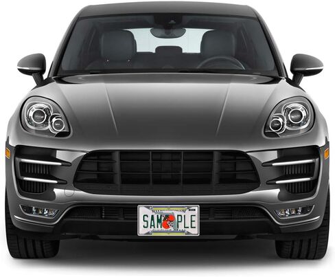 Fastasticdeals Metal Insert License Plate Frame Ukrainian Flag with Trident Ensign Weatherproof Car Accessories Chrome 4 Holes Solid Insert in Saudi Arabia