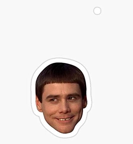Lloyd - Head (Dumb and Dumber) - Sticker Graphic - Auto, Wall, Laptop, Cell, Truck Sticker for Windows, Cars, Trucks in Saudi Arabia