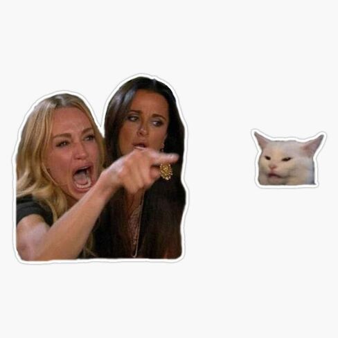 Woman Yelling at Cat Meme Sticker Vinyl Bumper Sticker Decal Waterproof 5" in Saudi Arabia