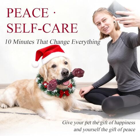 ألعاب الكلاب القوية من أباسيري للسلالات الكبيرة، ألعاب مضغ كروية تصدر صوتًا للكلاب الكبيرة، ألعاب تسنين الجراء، ألعاب الحيوانات الأليفة غير القابلة للتدمير للكلاب المتوسطة والكبيرة باللون الأزرق in Kuwait