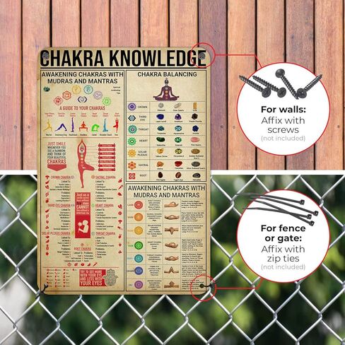Surfing Knowledge Anatomy Of A Wave Surf Etiquette Tin Sign Beach House Vintage Decor Home Club Wall Art Room Poster Man Cave Metal Sign 16x12 Inches in Saudi Arabia
