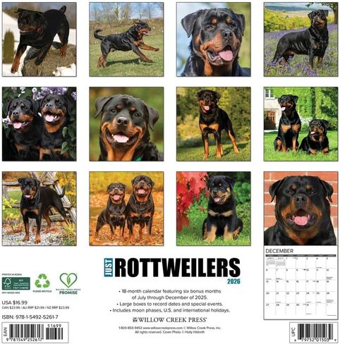 Willow Creek Press، تقويم حائط Just Rottweilers 2026، 12 بوصة × 12 بوصة، تقويم 18 شهرًا مع غلاف مثبت in Kuwait