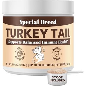 Turkey Tail Mushroom for Dogs and Cats - Certified Organic Turkey Tail Powder, Canine Immune Support, 200 Grams in Kuwait