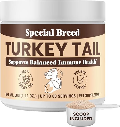 Turkey Tail Mushroom for Dogs and Cats - Certified Organic Turkey Tail Powder, Canine Immune Support, 200 Grams in Kuwait