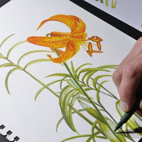 Koh-I-Noor 5.5" x 8.5" Bristol Smooth Bright White Paper Pad with In and Out Pages, 270 GSM, Side Wire-Bound, 20 Sheets per Pad (26170410413) in Kuwait