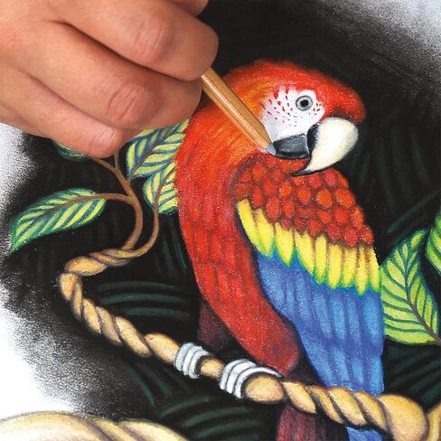 Koh-I-Noor 5.5" x 8.5" Bristol Smooth Bright White Paper Pad with In and Out Pages, 270 GSM, Side Wire-Bound, 20 Sheets per Pad (26170410413) in Kuwait