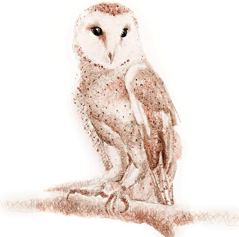 Koh-I-Noor 5.5" x 8.5" Bristol Smooth Bright White Paper Pad with In and Out Pages, 270 GSM, Side Wire-Bound, 20 Sheets per Pad (26170410413) in Kuwait