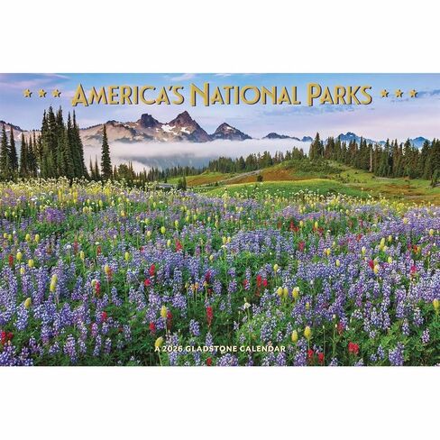 America's National Parks: 18x12 Deluxe Wall in Saudi Arabia