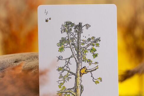 Luxury Hundred Acre Wood Themed Deck of Playing Cards – Premium, Collectible Card Set Gift for Adults and Card Game Enthusiasts. Gold Edging, Custom Design Cards With Magnetic Flip Box Deck of Cards. in Saudi Arabia