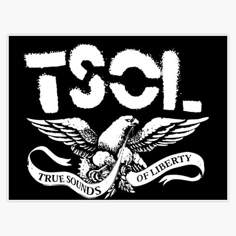 TSOL American punk rock band Window Water Bottle Bumper Sticker Decal 5" in Saudi Arabia