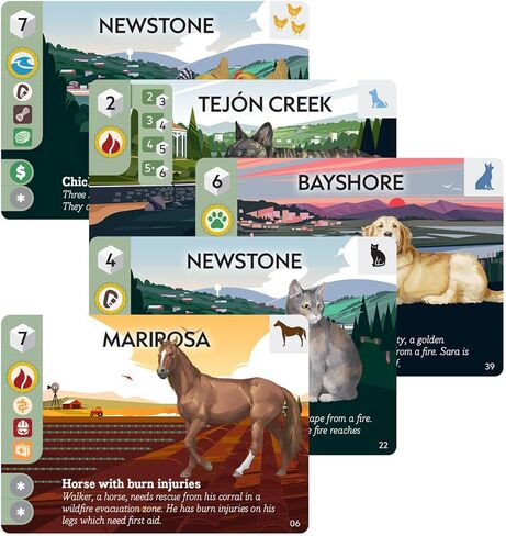 Animal Rescue Team by Play to Z | Cooperative Disaster Rescue Game | Save Cats, Dogs & Farm Animals from Floods, Fires & Earthquakes | Family Game | Ages 8+ | 2-4 Players | 45 Minute Playing Time in Saudi Arabia