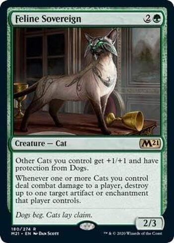 Feline Sovereign in Saudi Arabia