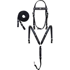 Horse Western 3-Piece Nylon Bridle Breast Collar Reins Tack Set Texas Star 601J01