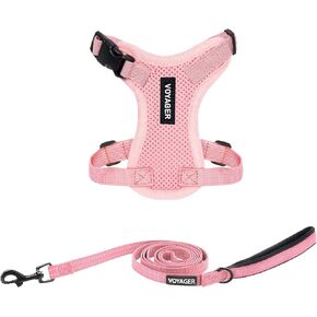 Voyager Step-in Lock Adjustable Cat Harness w. Cat Leash Combo Set with Neoprene Handle 5ft - Supports Small, Medium and Large Breed Cats by Best Pet Supplies - Pink, XXXS