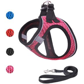 Dog Harness and Leash Set for Walking, Breathable Lightweight Soft Mesh Step-in Puppy Cat Dog Vest Harnesses, Reflective & Adjustable Harness Escape Proof for Small Medium Dogs Cats