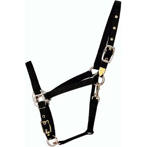 Hamilton 3/4-Inch Nylon Arabian Horse Halter with Adjustable Chin and Throat Snap, Small, 500 to 800 pounds, Dark Green