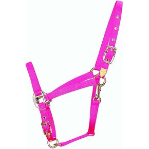 Hamilton 3/4-Inch Nylon Arabian Horse Halter with Adjustable Chin and Throat Snap, Small, 500 to 800 pounds, Dark Green
