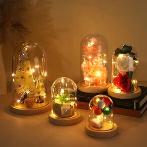 Wesiti 5 Pieces Clear Dome Cloche Plastic Domes for Crafts Plastic Dome Display Case Jar with Rustic Wood Base and LED Fairy Light Jar for Wedding Christmas Tabletop Centerpiece Decoration, 5 Sizes