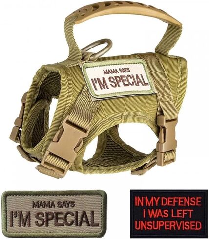 Cat Harness & Leash, Tactical Pet Walking Harness Escapeproof Breathable Cat Vest Harnesses with Letter Stickers for Cats Small Dogs in Saudi Arabia