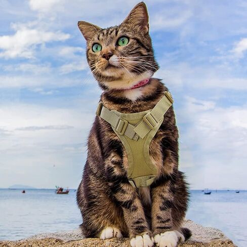 Cat Harness & Leash, Tactical Pet Walking Harness Escapeproof Breathable Cat Vest Harnesses with Letter Stickers for Cats Small Dogs in Saudi Arabia