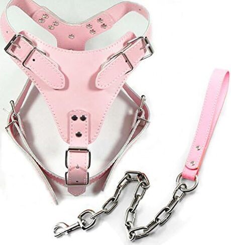 Dogs Kingdom 24"-32" Soft Leather Dog Harness&Leash Set Large for Pit Bull, Boxer, Bull Terrier in Saudi Arabia