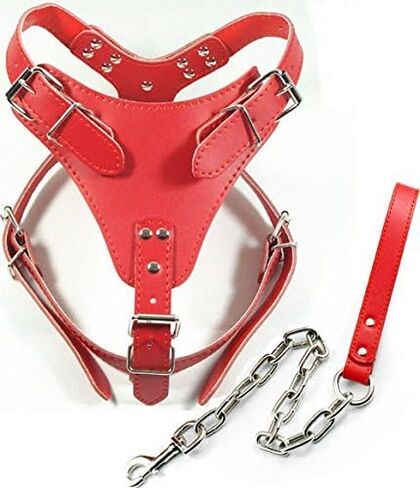 Dogs Kingdom 24"-32" Soft Leather Dog Harness&Leash Set Large for Pit Bull, Boxer, Bull Terrier in Saudi Arabia