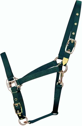 Hamilton 3/4-Inch Nylon Arabian Horse Halter with Adjustable Chin and Throat Snap, Small, 500 to 800 pounds, Dark Green in Saudi Arabia