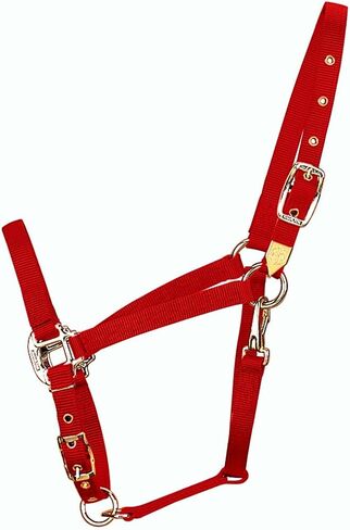 Hamilton 3/4-Inch Nylon Arabian Horse Halter with Adjustable Chin and Throat Snap, Small, 500 to 800 pounds, Dark Green in Saudi Arabia