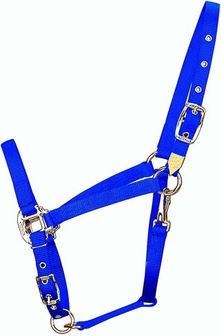 Hamilton 3/4-Inch Nylon Arabian Horse Halter with Adjustable Chin and Throat Snap, Small, 500 to 800 pounds, Dark Green in Saudi Arabia