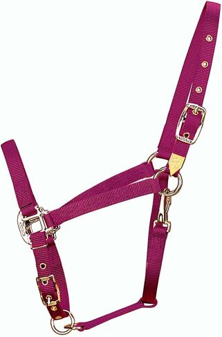 Hamilton 3/4-Inch Nylon Arabian Horse Halter with Adjustable Chin and Throat Snap, Small, 500 to 800 pounds, Dark Green in Saudi Arabia
