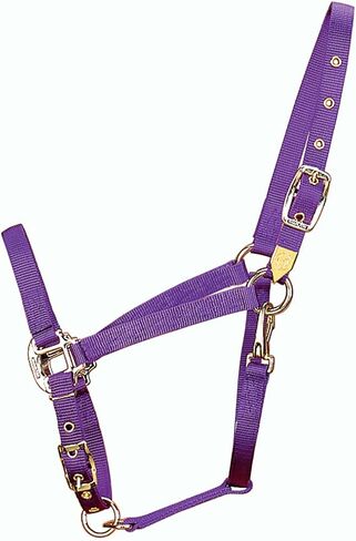 Hamilton 3/4-Inch Nylon Arabian Horse Halter with Adjustable Chin and Throat Snap, Small, 500 to 800 pounds, Dark Green in Saudi Arabia