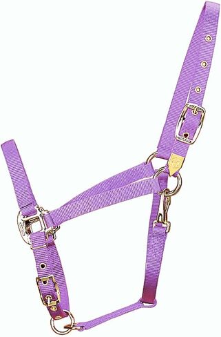 Hamilton 3/4-Inch Nylon Arabian Horse Halter with Adjustable Chin and Throat Snap, Small, 500 to 800 pounds, Dark Green in Saudi Arabia