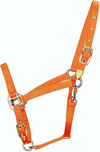 Hamilton 3/4-Inch Nylon Arabian Horse Halter with Adjustable Chin and Throat Snap, Small, 500 to 800 pounds, Dark Green in Saudi Arabia