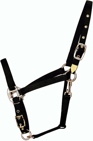 Hamilton 3/4-Inch Nylon Arabian Horse Halter with Adjustable Chin and Throat Snap, Small, 500 to 800 pounds, Dark Green in Saudi Arabia