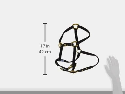 Hamilton 3/4-Inch Nylon Arabian Horse Halter with Adjustable Chin and Throat Snap, Small, 500 to 800 pounds, Dark Green in Saudi Arabia