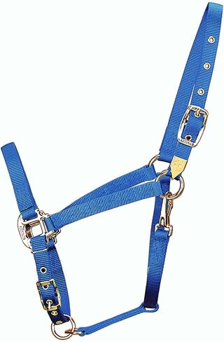 Hamilton 3/4-Inch Nylon Arabian Horse Halter with Adjustable Chin and Throat Snap, Small, 500 to 800 pounds, Dark Green in Saudi Arabia