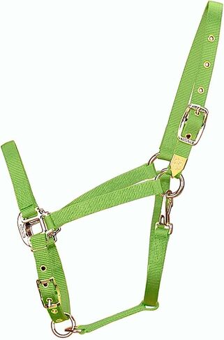 Hamilton 3/4-Inch Nylon Arabian Horse Halter with Adjustable Chin and Throat Snap, Small, 500 to 800 pounds, Dark Green in Saudi Arabia