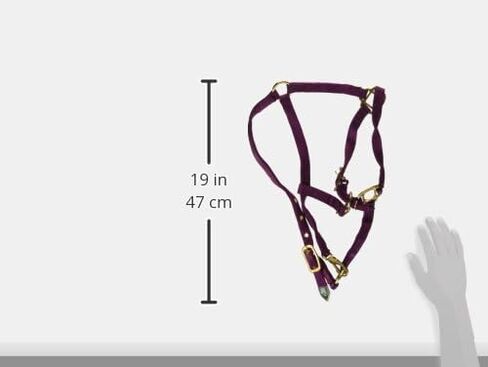 Hamilton 3/4-Inch Nylon Arabian Horse Halter with Adjustable Chin and Throat Snap, Small, 500 to 800 pounds, Dark Green in Saudi Arabia
