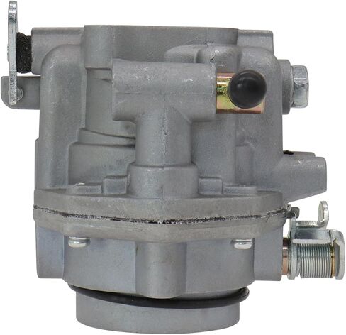 146-0496 Carburetor for ONAN NOS B48G B48M P216G P218G P220G replacement 146-0414 146-0479 with Fuel Pump and Spark Plug in Saudi Arabia