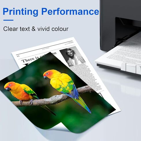 20N10 CS331 CX331 Toner Cartridge 20N10K0 20N10C0 20N10M0 20N10Y0 Toner Cartridges Compatible for Lexmark CS331 CS431 CX331 CX431 CS331dw CX331adwe CS431dw CX431adw Printer 4 Pack in Saudi Arabia