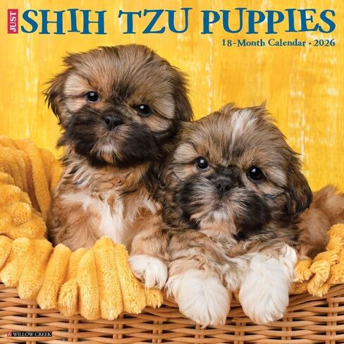 Willow Creek Press، تقويم حائط Just Shih Tzu Puppies 2026، 12 بوصة × 12 بوصة، تقويم 18 شهرًا مع غلاف مثبت in Kuwait