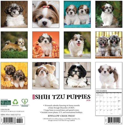 Willow Creek Press، تقويم حائط Just Shih Tzu Puppies 2026، 12 بوصة × 12 بوصة، تقويم 18 شهرًا مع غلاف مثبت in Kuwait