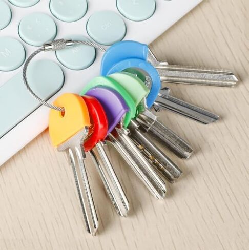 16 Pack Coloured Plastic Key Cap Labels and Identifier Covers for Standard Flat House Keys, 2 Styles in Saudi Arabia