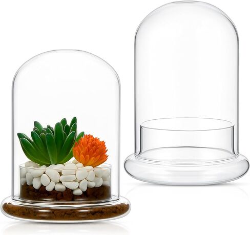 2 Pcs Glass Terrarium 5.9 x 7.9 Inch Glass Terrarium Planter Container Clear Glass Dome Cloche with Airhole and Base for Plant Flower Home Tabletop Display Centerpiece, Plants Not Included in Saudi Arabia