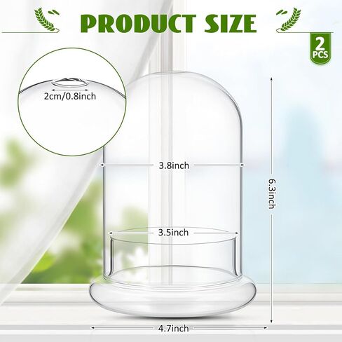 2 Pcs Glass Terrarium 5.9 x 7.9 Inch Glass Terrarium Planter Container Clear Glass Dome Cloche with Airhole and Base for Plant Flower Home Tabletop Display Centerpiece, Plants Not Included in Saudi Arabia
